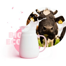 Cow with a jar of milk